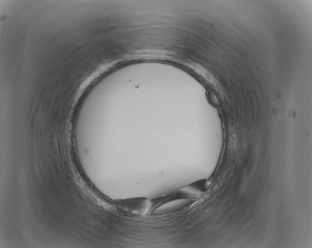 X0000081421325200702021617