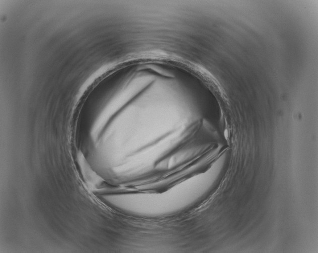 X0000081421326200702021618