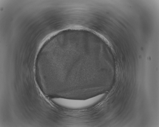 X0000081421327200702021618