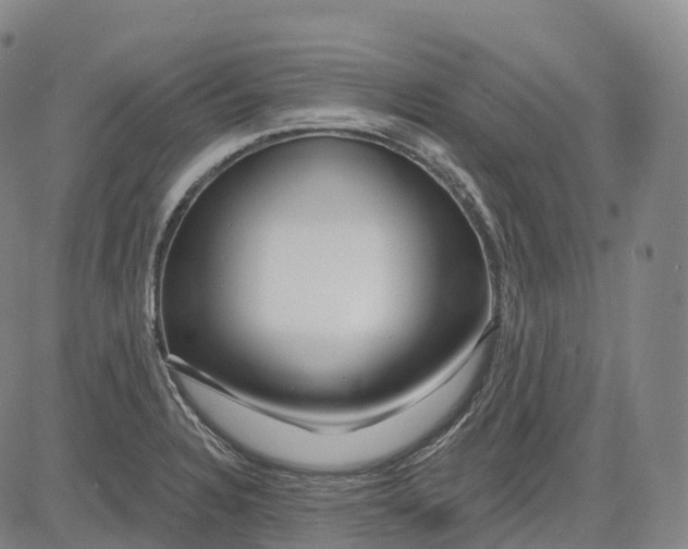 X0000081421328200702021618