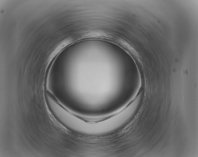 X0000081421330200702021618