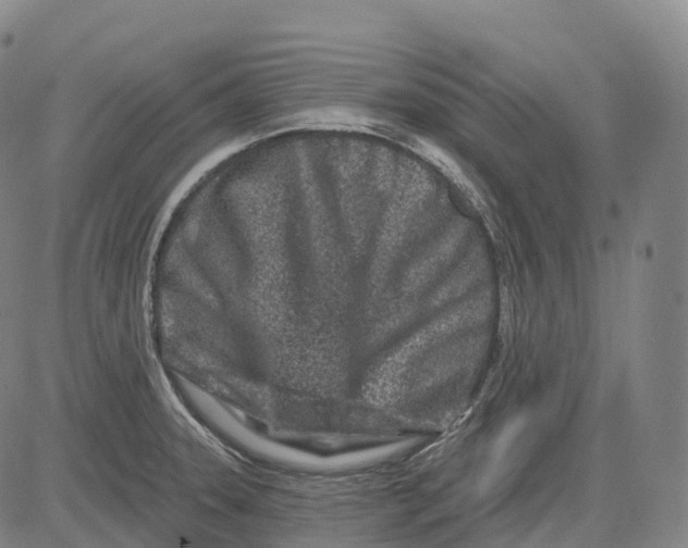 X0000081421331200702021618