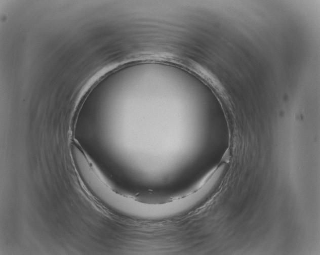 X0000081421332200702021618