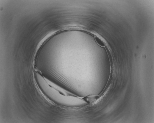 X0000081421333200702021618