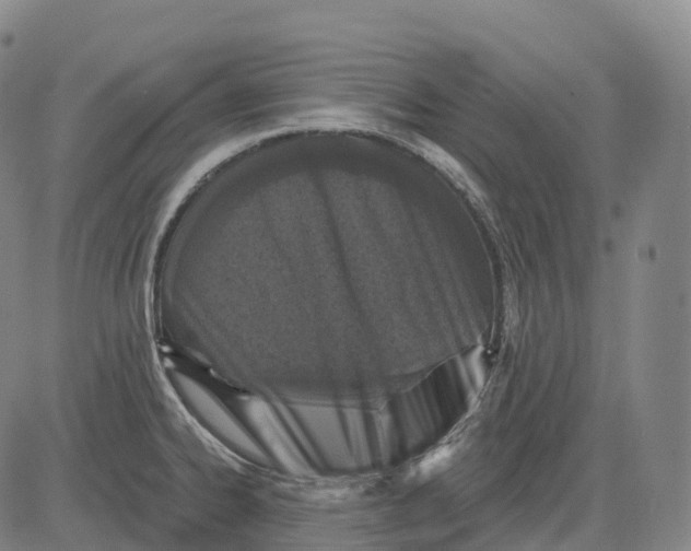 X0000081421334200702021618