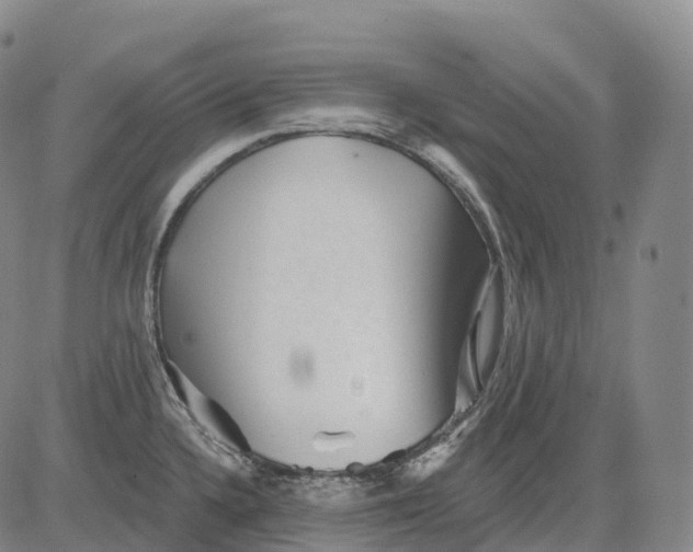 X0000081421336200702021618