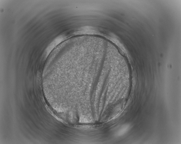 X0000081421337200702021618