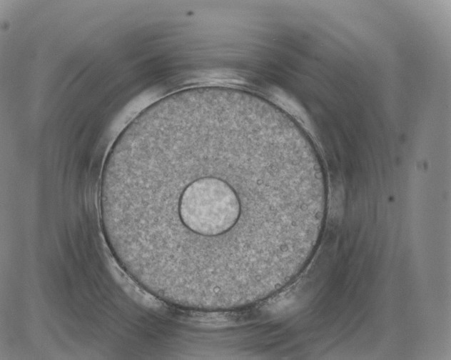 X0000081421338200702021618