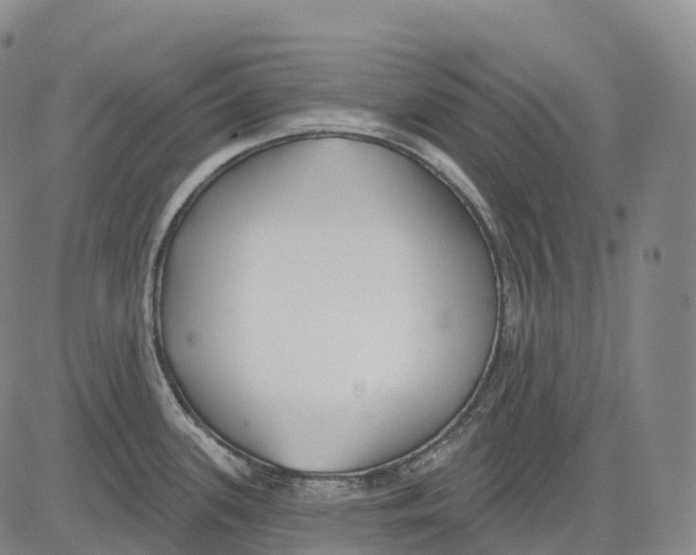 X0000081421339200702021618