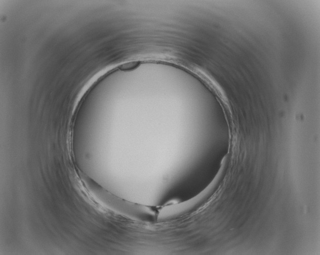 X0000081421340200702021618