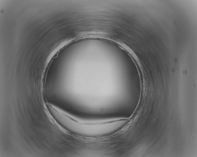 X0000081421341200702021618