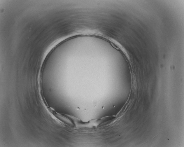 X0000081421343200702021618