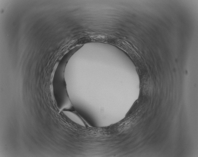 X0000081421345200702021617