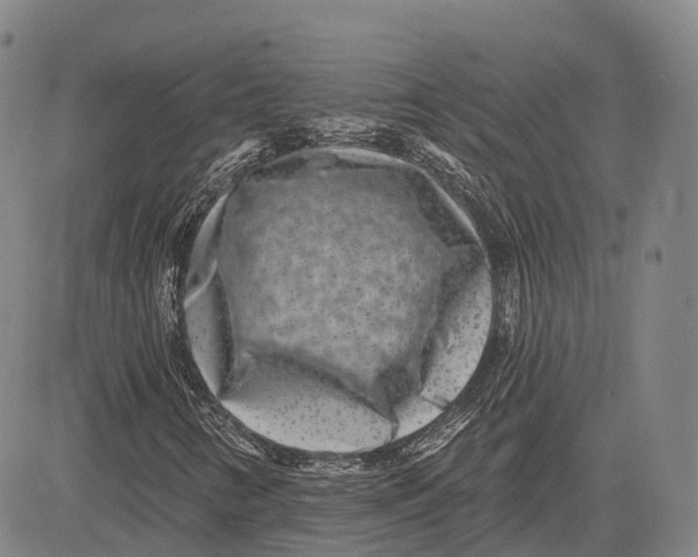 X0000081421346200702021617