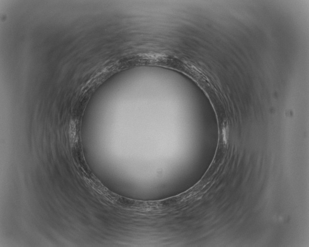 X0000081421347200702021617