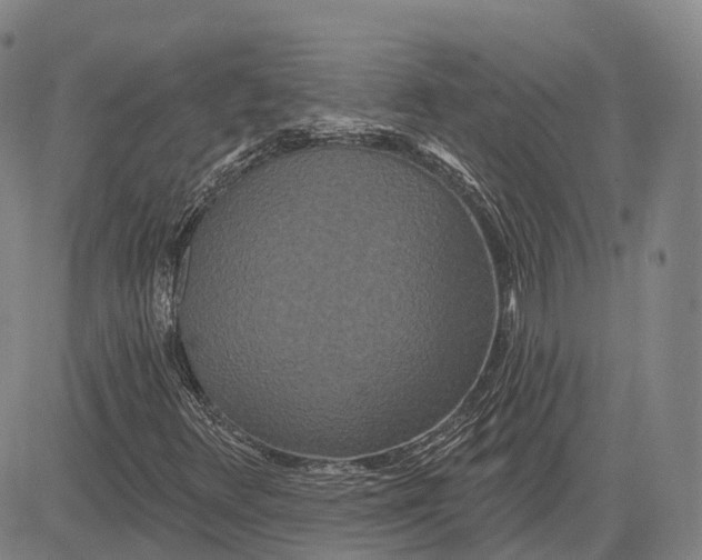 X0000081421348200702021617