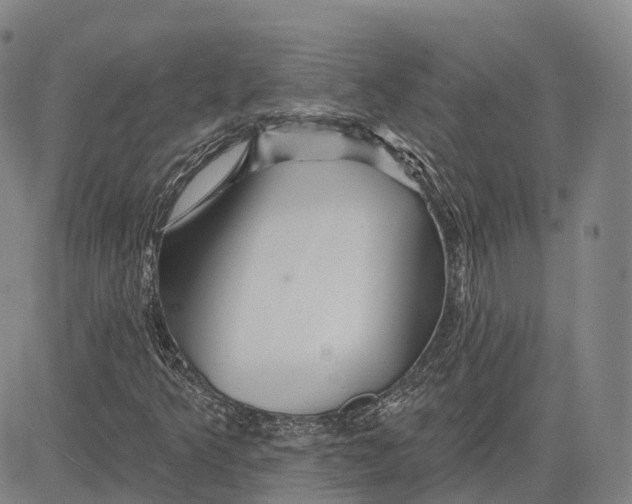 X0000081421349200702021617