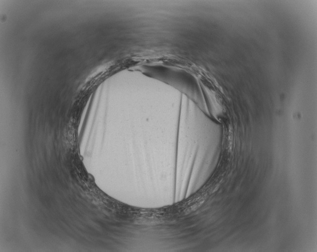 X0000081421350200702021617