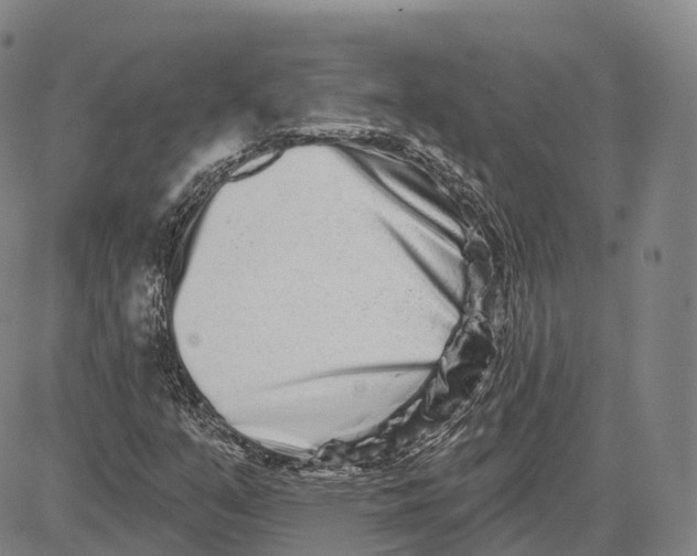 X0000081421351200702021617