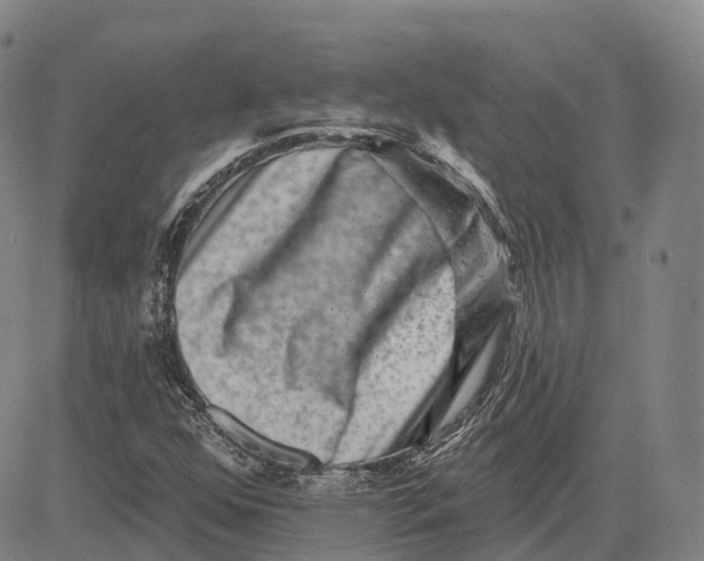 X0000081421352200702021617