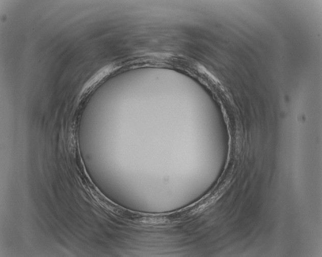 X0000081421354200702021617