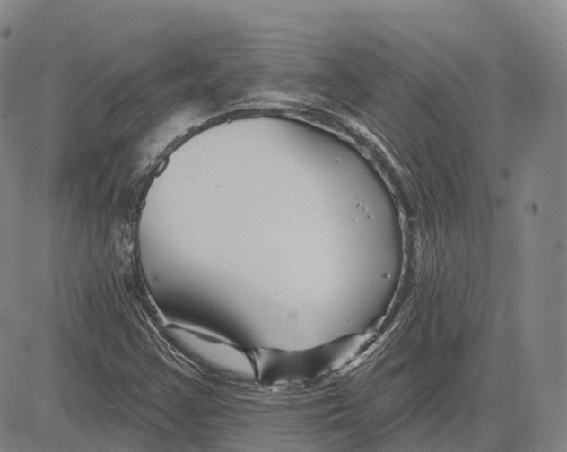 X0000081421355200702021617