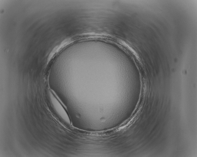 X0000081421357200702021617