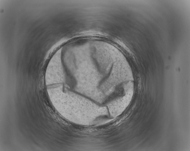 X0000081421358200702021617