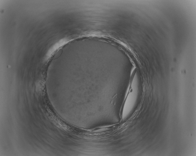 X0000081421359200702021617