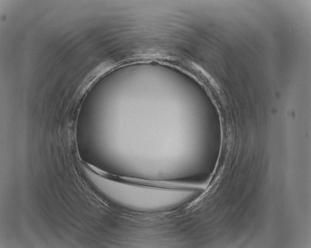 X0000081421361200702021617