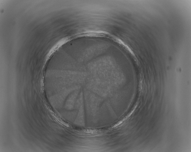 X0000081421362200702021617