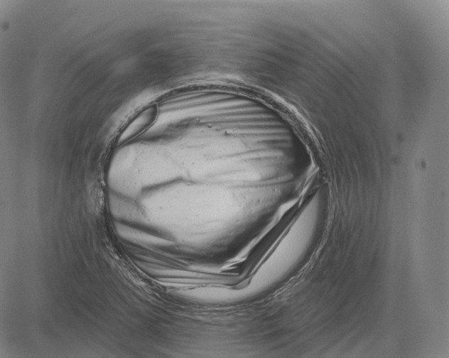 X0000081421363200702021617