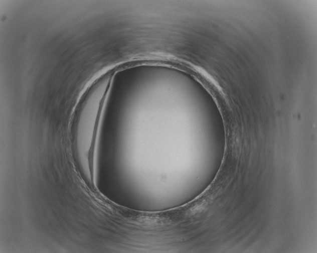 X0000081421364200702021617