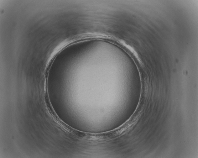 X0000081421365200702021617