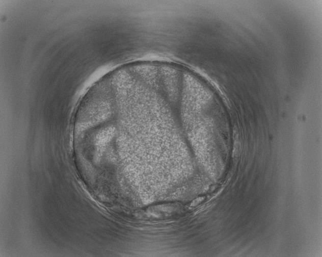 X0000081421367200702021617