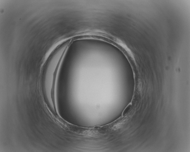 X0000081421368200702021617