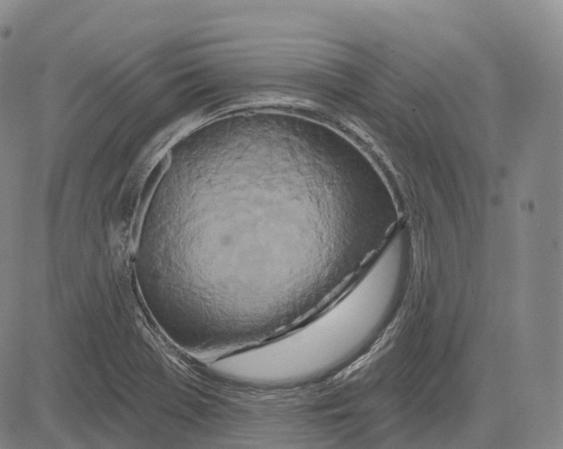 X0000081421369200702021617