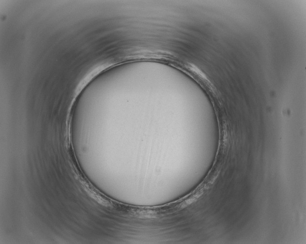 X0000081421370200702021617