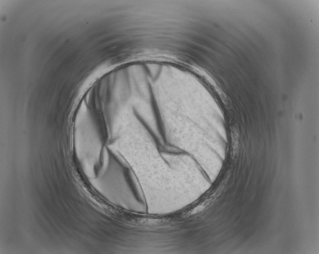 X0000081421371200702021617