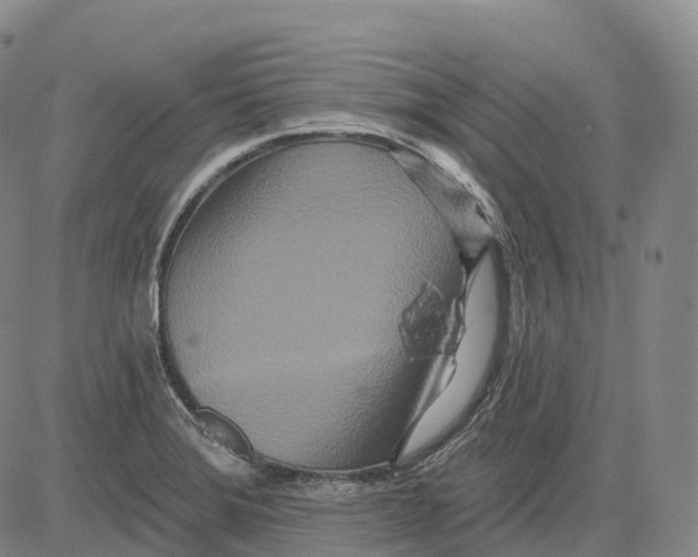 X0000081421372200702021617