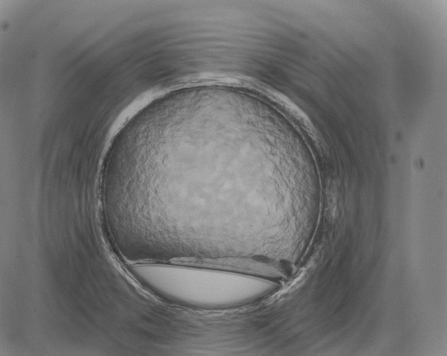 X0000081421373200702021617