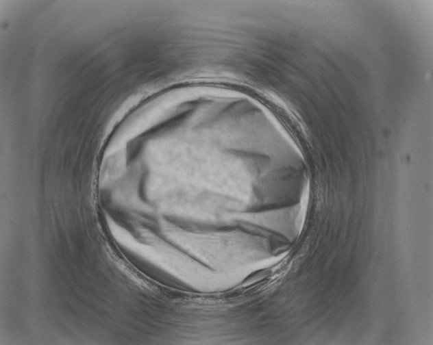 X0000081421374200702021617