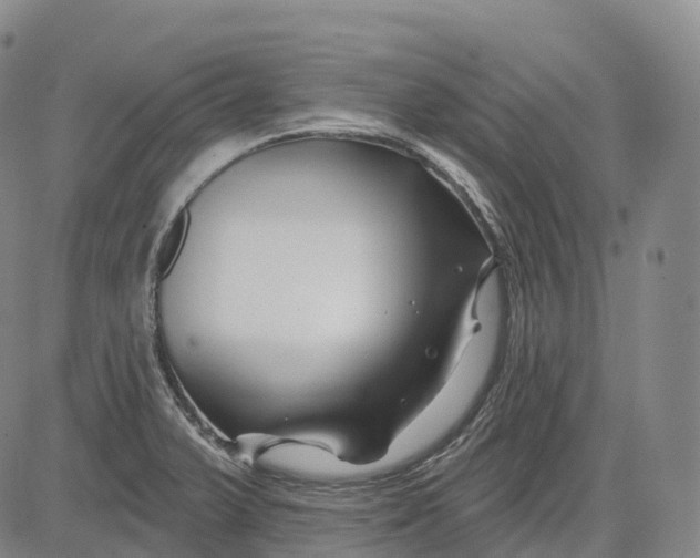 X0000081421375200702021617