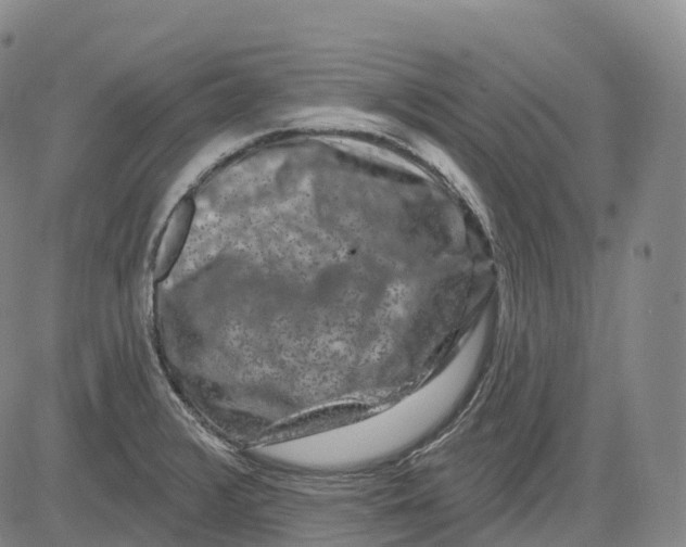 X0000081421376200702021617