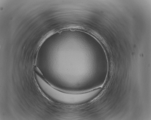 X0000081421377200702021617