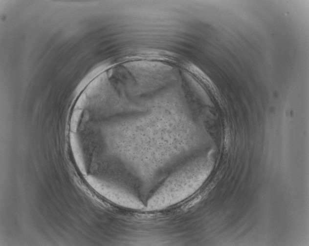 X0000081421378200702021616