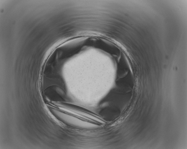 X0000081421379200702021616