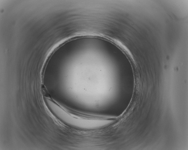 X0000081421380200702021616