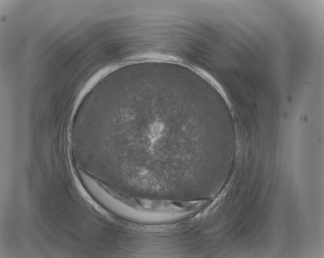 X0000081421381200702021616