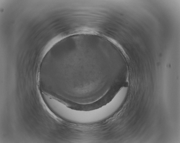 X0000081421383200702021616